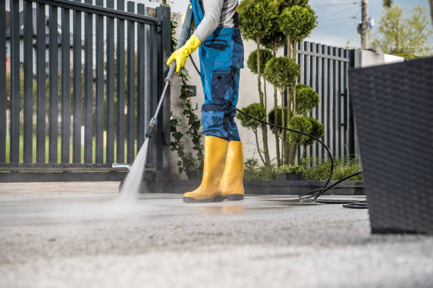 Best Roof Pressure Washing  in Lake City, FL