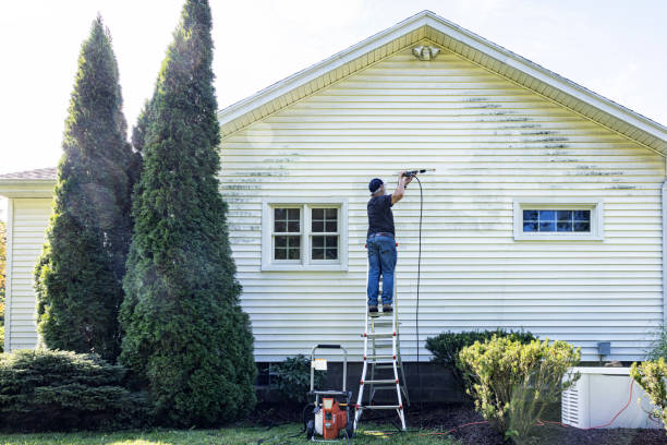 Best Deck Pressure Washing  in Lake City, FL