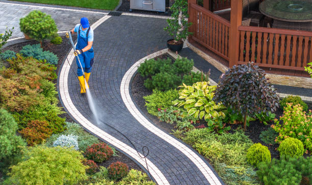 Best Local Pressure Washing Services  in Lake City, FL