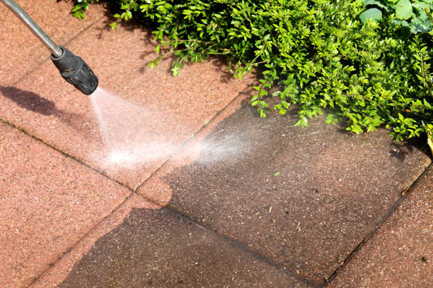 Best Pressure Washing Near Me  in Lake City, FL